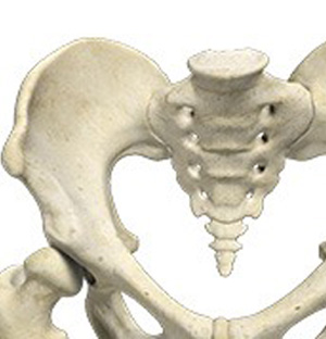 Developmental Dysplasia